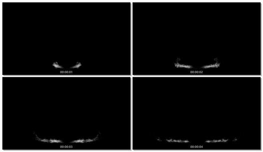 带通道的烟雾动画视频素材29