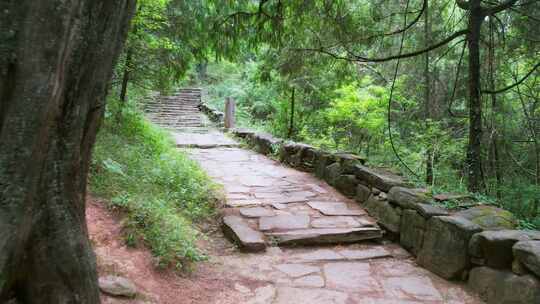 蜀道森林步道