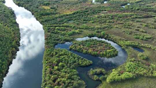 呼伦贝尔风光根河湿地额尔古纳风景区秋景视频素材模板下载