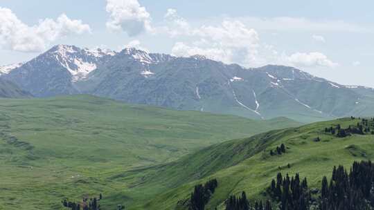 新疆独库公路中途雪山草原美景