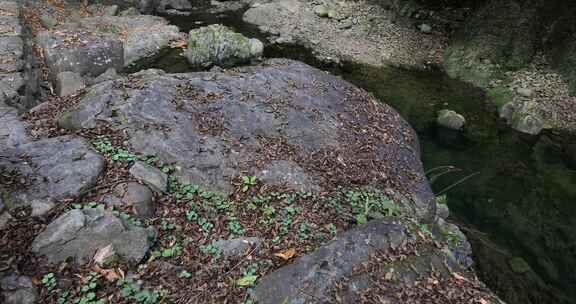 宁静山涧溪流 原生态景观 浙东小九寨