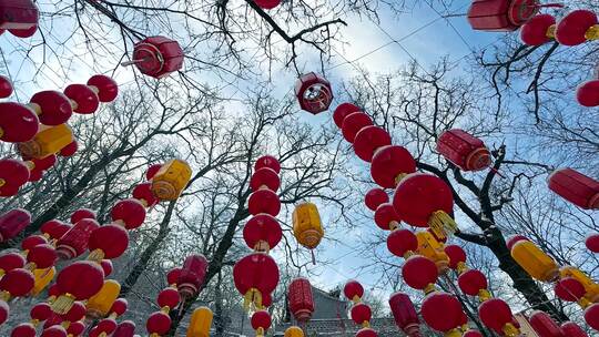 新年大红灯笼上的积雪