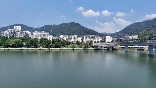 合集福建三明城市绿化植物航拍