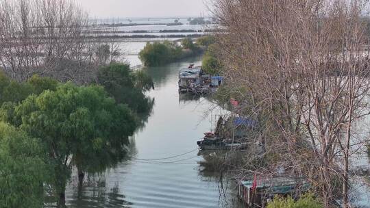 湖光渔家 生态湿地 塘口