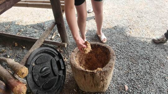 泰国清迈体验传统石臼捣大象食物活动