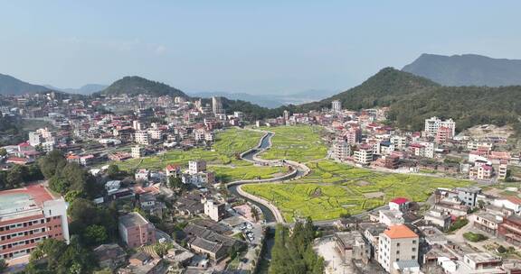 航拍乡村田园油菜花田乡村振兴农村农业发展