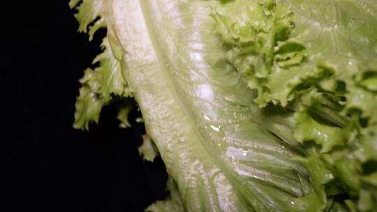 奶油生菜绿菜叶健康蔬菜视频素材模板下载