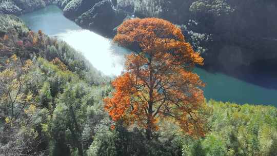 四明山秋天秋景秋色 茅镬公园