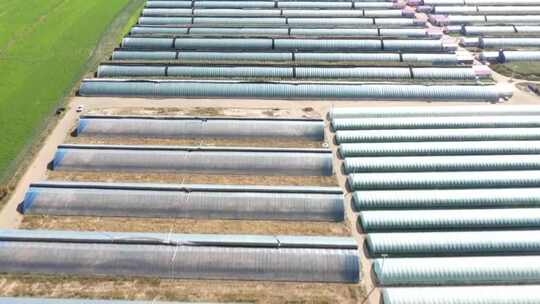 农田蔬菜大棚俯拍全景