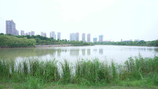 武汉江夏区韵湖湿地公园