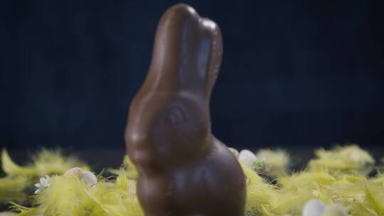 餐桌上的兔子形状的巧克力特写镜头