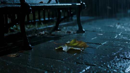 立秋雨夜落叶伤感氛围意境视频