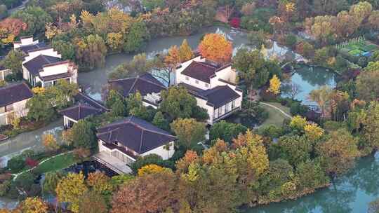 杭州秋天 西溪湿地 手摇船 湿地博物馆