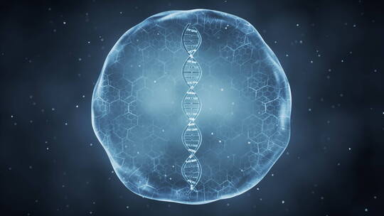 薄膜内的DNA结构3D渲染视频素材模板下载