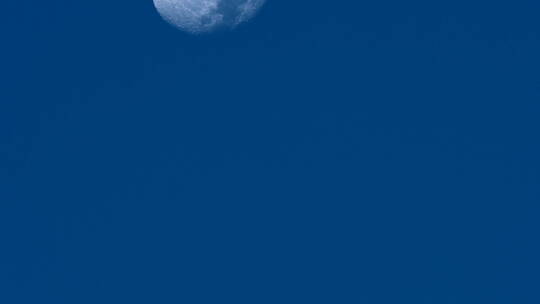 月亮延时4K 克莱因蓝视频素材模板下载