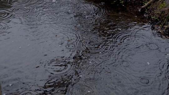 雨滴落入水面泛起层层涟漪