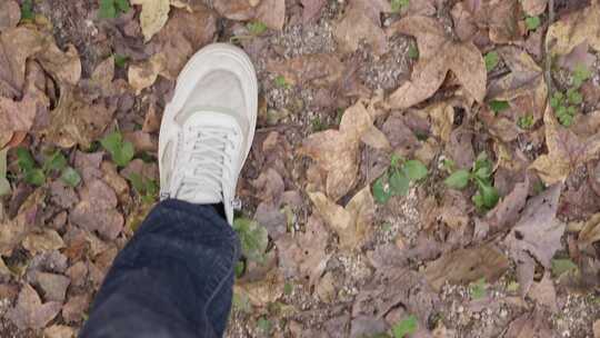 第一视角脚踩落叶秋天的脚步视频素材模板下载
