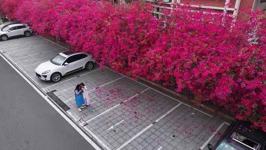 中国广东省佛山市