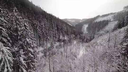 FPV航拍森林雪山树林河流高山阳光蓝天白云