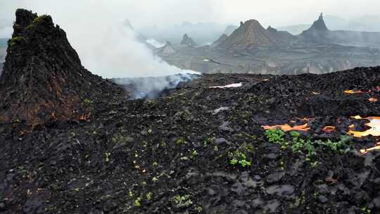 火山高原 熔岩铺地 山形奇特 石缝植被