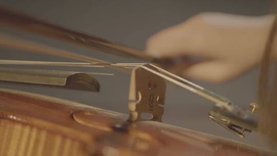4k小提琴实拍素材