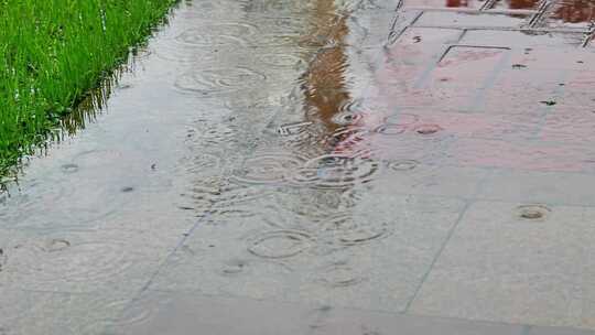 大自然雨季下雨雨滴树林树叶雨水