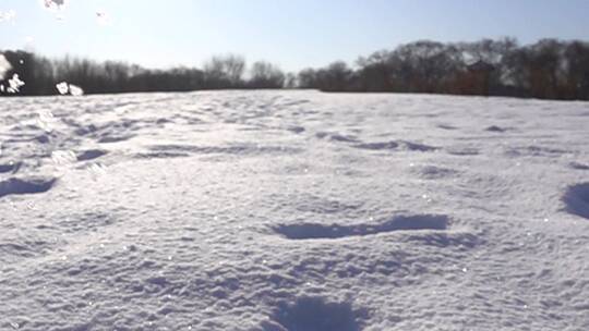 冬季东北雪后玩雪扬雪花慢速拍摄