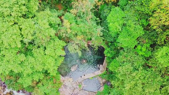 高黎贡山百花岭温泉