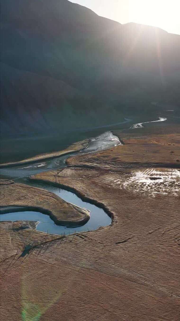 塔合曼湿地雪山河流和牛羊