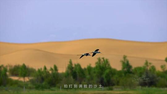 自然风景，治愈系风景，唯美意境，人间仙境视频素材模板下载