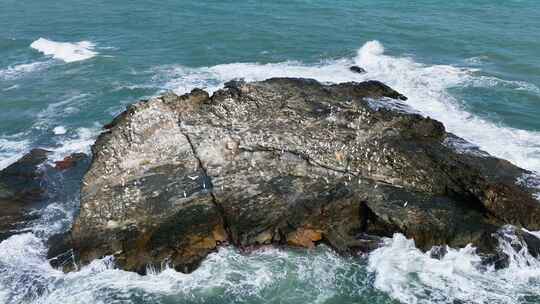 白鹤礁石海浪