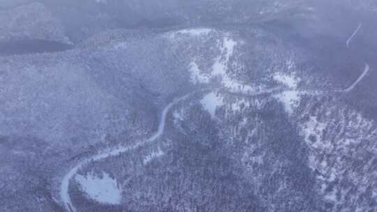 风雪中的大兴安岭森林高山