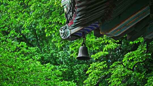 中国风寺庙古建筑下雨雨滴慢镜头