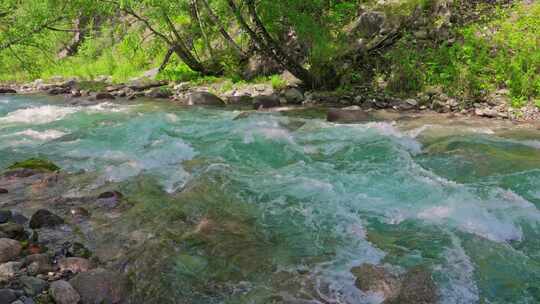 新疆天山峡谷原始森林的溪流