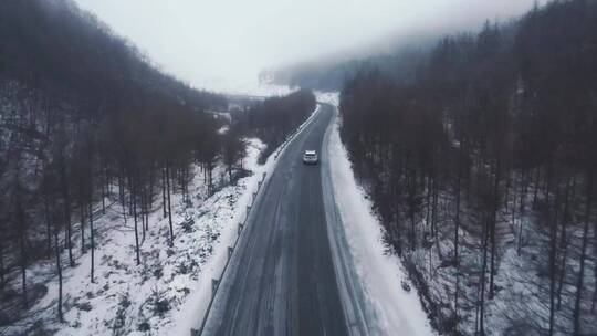 雪天穿越丛林