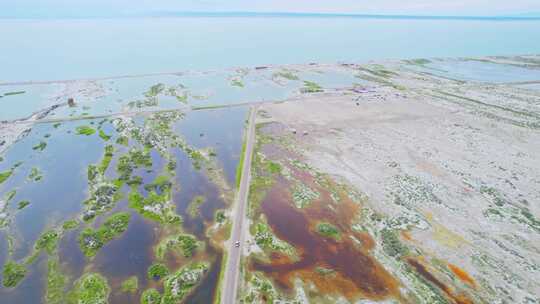 新疆北疆阿勒泰乌伦古湖湿地沼泽公路航拍