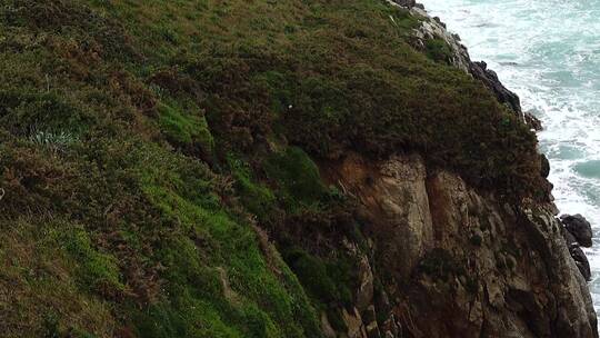 海岸边的悬崖视频素材模板下载