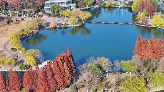 航拍深秋初冬徐州云龙湖风景区,红色水杉