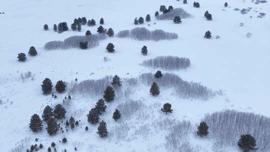 唯美雪原美景 水墨丹青画卷