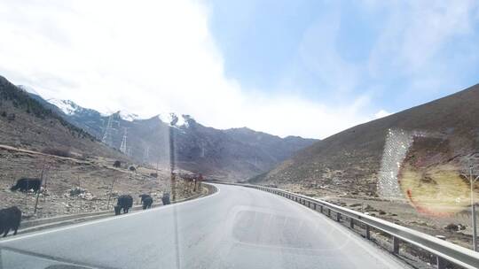 西藏公路旅拍视频素材模板下载