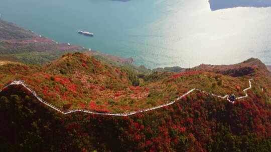 长江三峡巫峡红叶