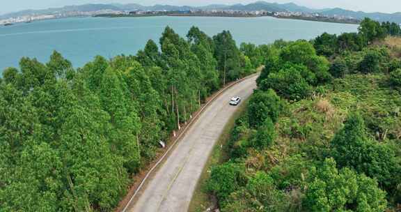 沿海公路海边公路海景公路绿色树木