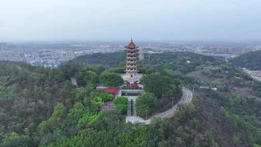 中国广东省广州市南沙区十八罗汉山森林公园视频素材模板下载