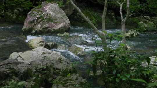 山涧秘境：静谧溪流的自然诗篇