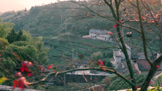 夕阳山间民宿2