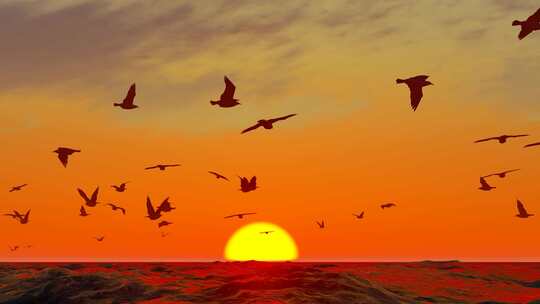 平静的海面自由翱翔的海鸥和野鸟