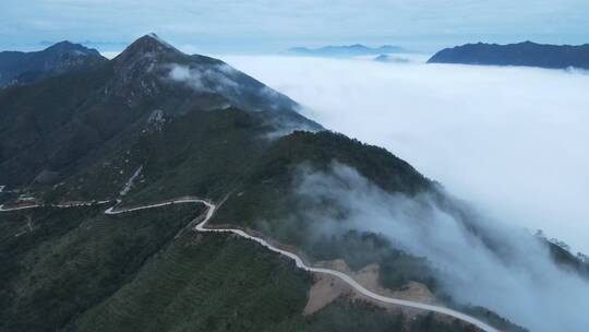 信宜茶山榕大公路，高山挂壁公路航拍云海