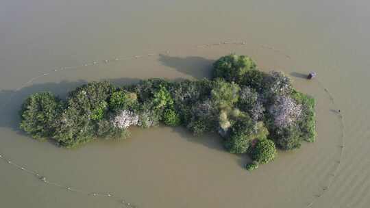 广东惠州西湖景区航拍