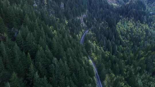 森林盘山公路山路绿色山脉