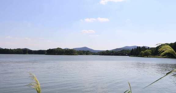 苏州镇湖太湖湿地公园美丽风景